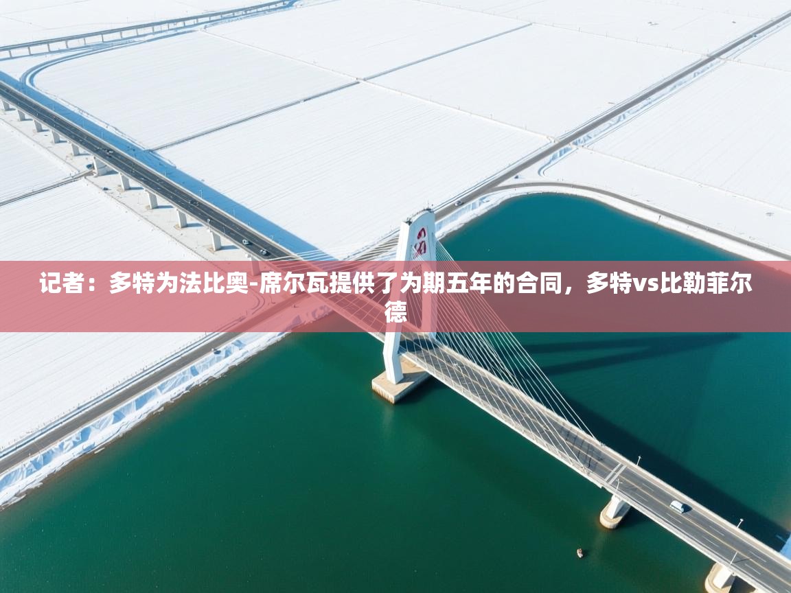 记者：多特为法比奥-席尔瓦提供了为期五年的合同，多特vs比勒菲尔德  第1张